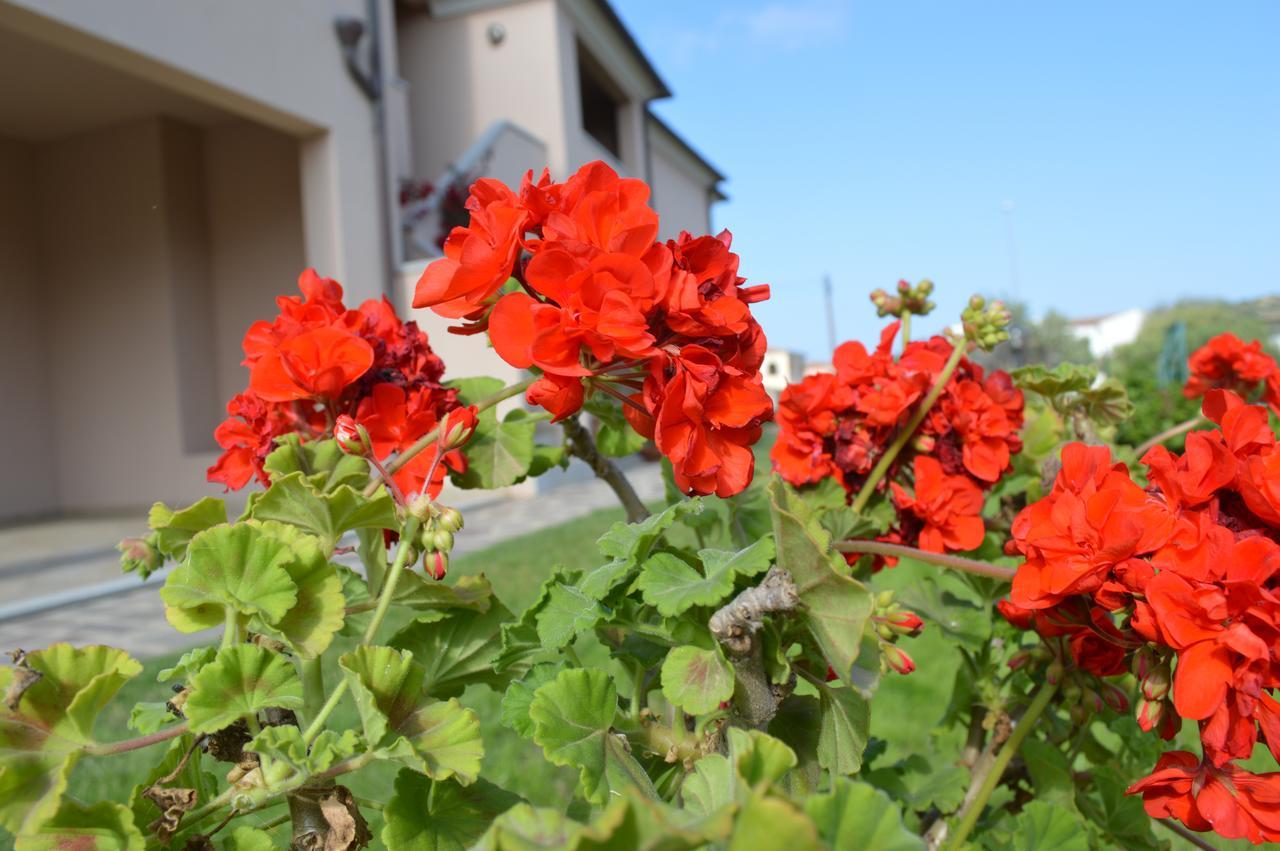 Guest Rooms Affittacamere San Teodoro  Zewnętrze zdjęcie