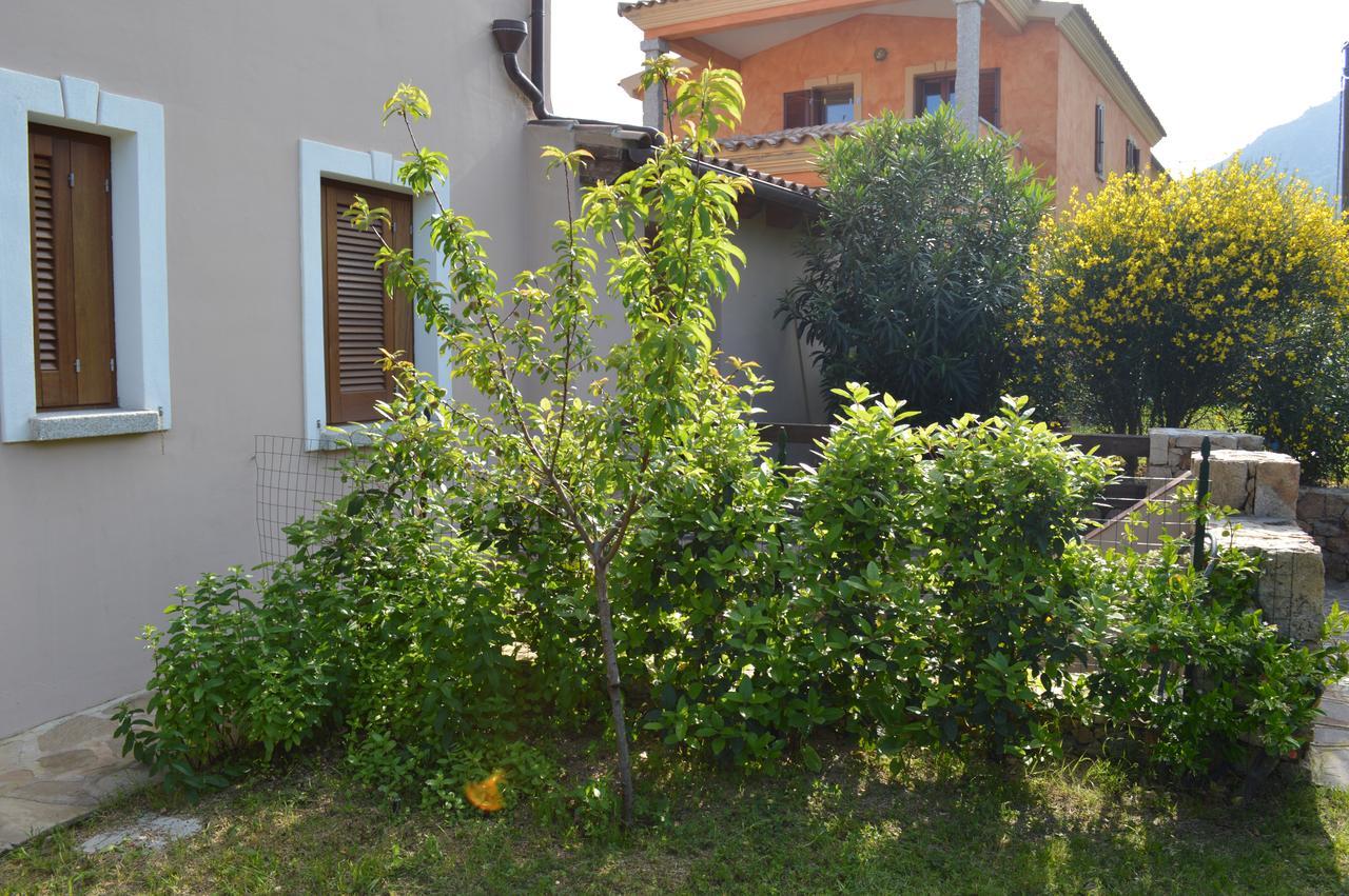 Guest Rooms Affittacamere San Teodoro  Zewnętrze zdjęcie